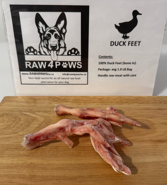 Duck Feet - COMPARE OUR PRICE!