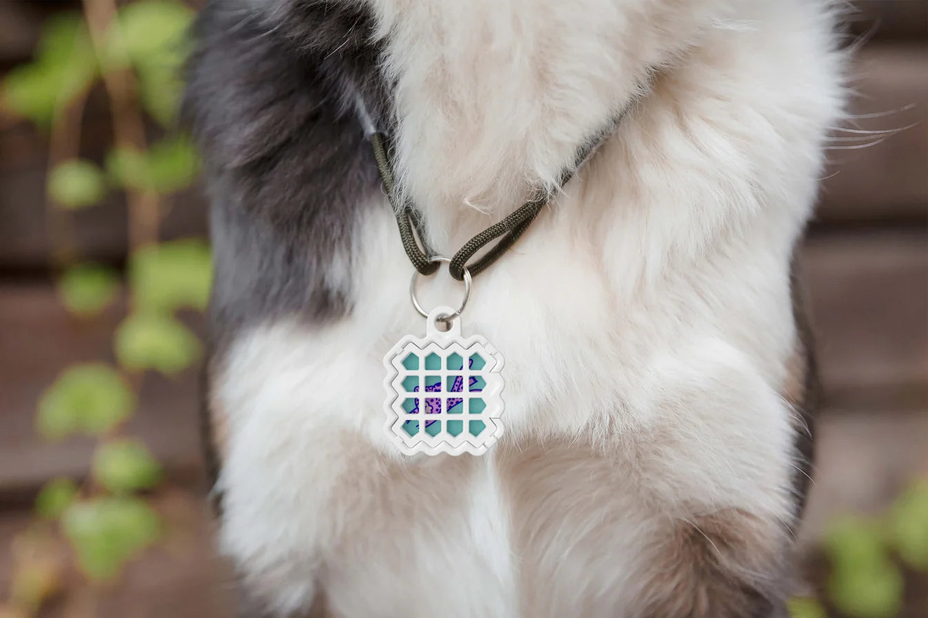 Pet Lockets